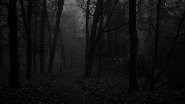 Photo foggy autumn morning