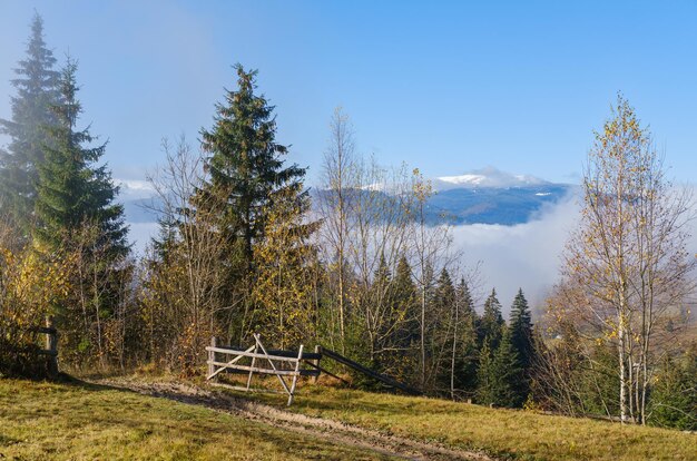 Foggy autumn mountain morning scene Peaceful picturesque traveling seasonal nature and countryside beauty concept scene