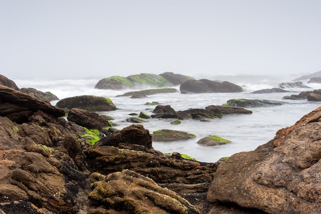 Photo foggy beach with rocks and mist