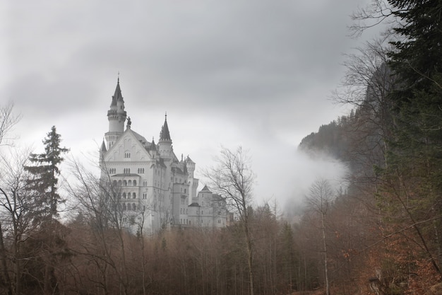 Foggy castle in winter