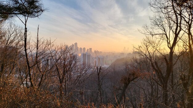 Foto una città nebbiosa al mattino presto