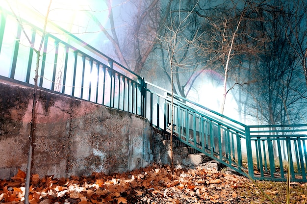 Foggy city scene at night