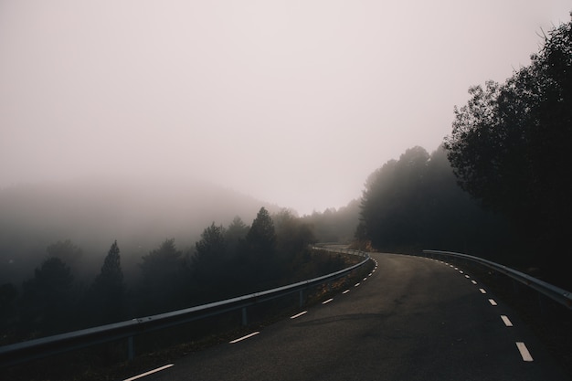 山の霧の曲線道路の風景