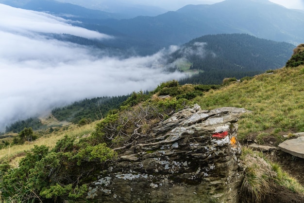 Foggy day in the autumn mountains