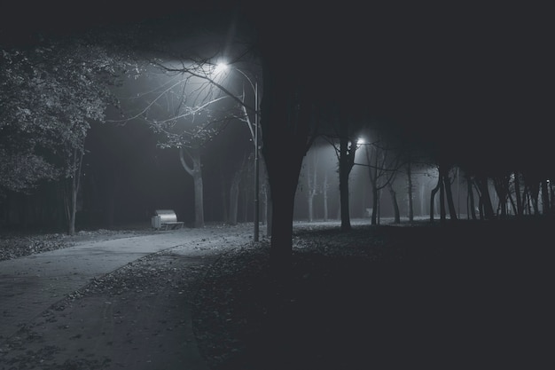 The foggy evening in the autumn park