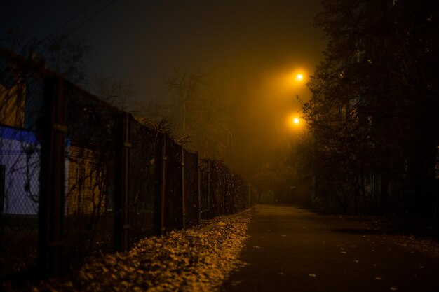 Foggy evening in the light of street lamps