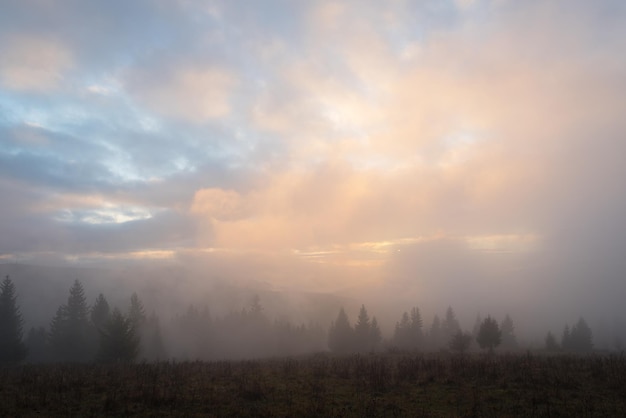 Foggy Fall Landscape