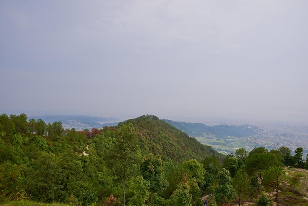 The foggy forest during monsoon