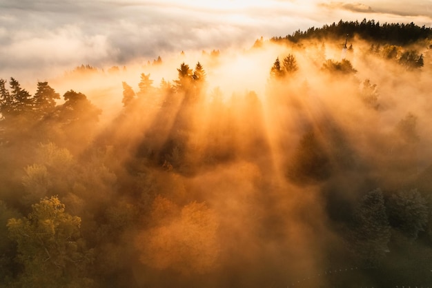 Foggy forest with sun rays Top view from drone of mountain valley in low clouds Aerial view of mountain peak with green trees in fog