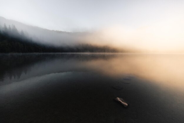 Photo foggy lake scape and vibrant autumn colors in trees at amazing misty sunrise sfanta anaromania