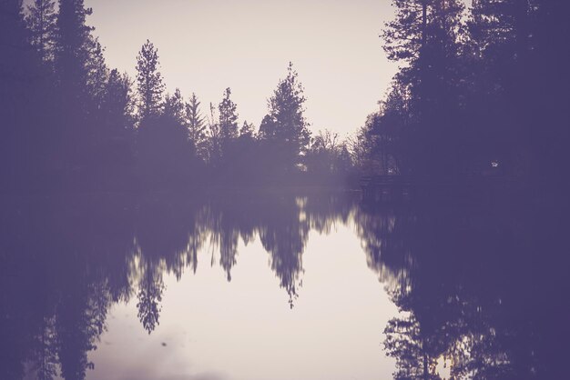 Photo the foggy lake scenery california foggy lake in purple color grading lake background