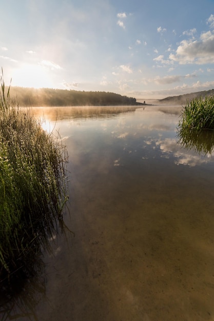 Foggy lakeside at summer sunrise with tall grass in foreground with selective focus