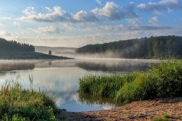 Foggy lakeside at summer sunrise with tall grass