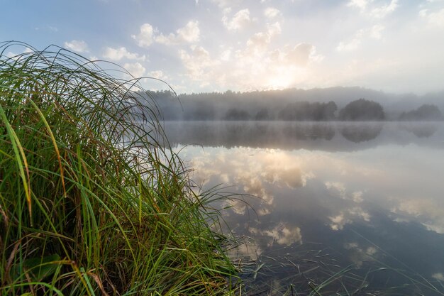 Foggy lakeside at sunrise in european summer