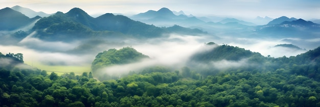 ジャングルの霧の風景 霧と雲の山 熱帯の谷の風景 空撮 ワイドミス