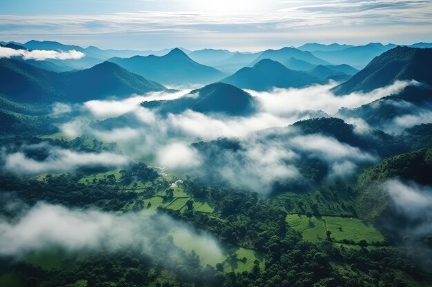 Foggy landscape in the jungle Fog and cloud mountain