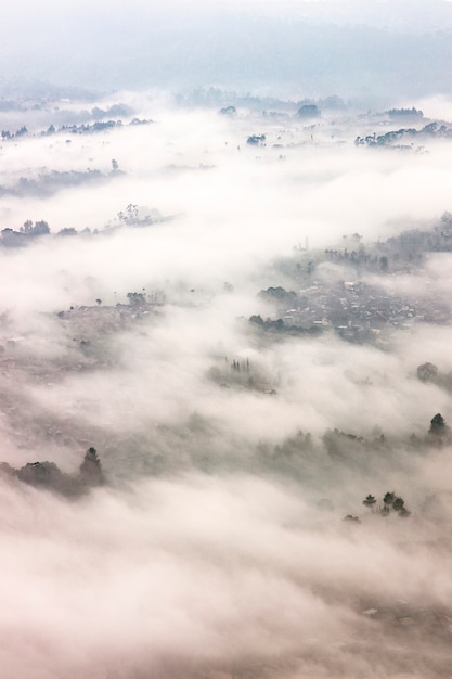 Photo foggy landscape located in bandung, indonesia