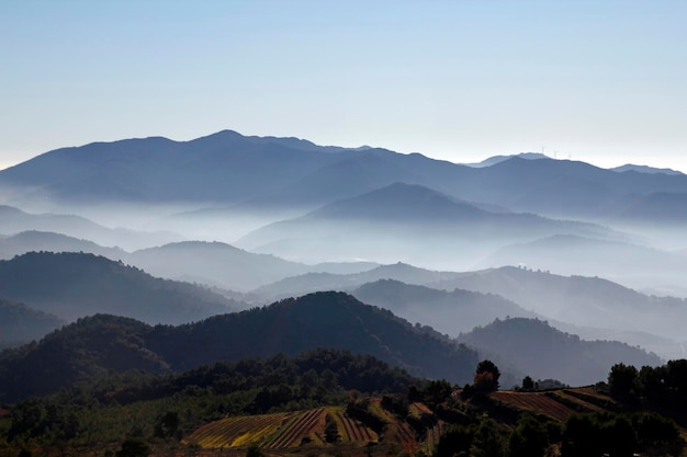 Photo foggy landscape of mountains zen like
