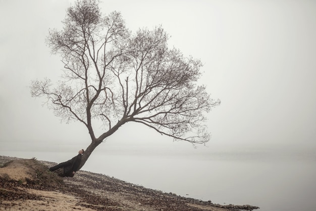 foggy landscape tree