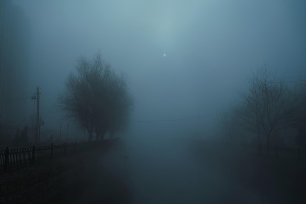 Photo foggy landscape with a river and trees on an alley in the city on an autumn evening in fog mist