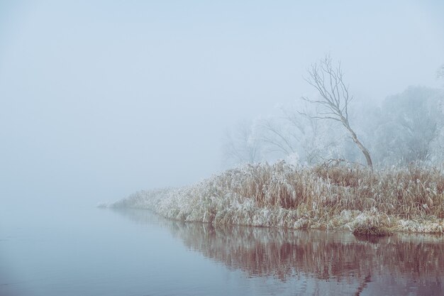 foggy landscape