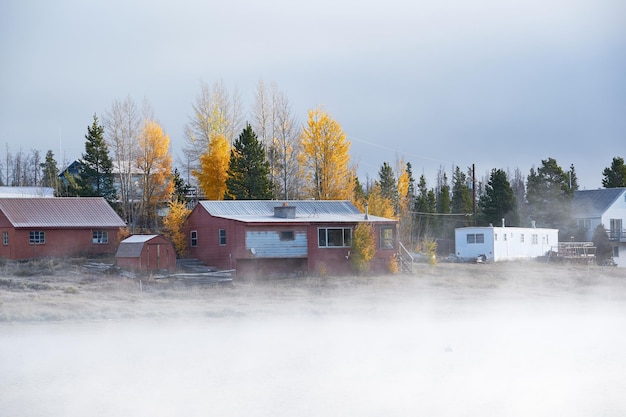 Foggy misty autumn landscape in Colorado USA