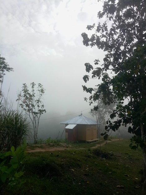 Atmosfera mattutina nebbiosa dalla cima della collina