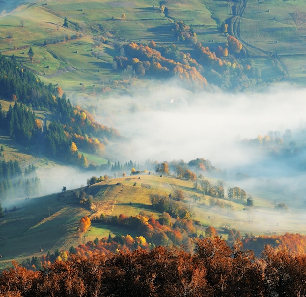 foggy morning in the autumn Carpathians