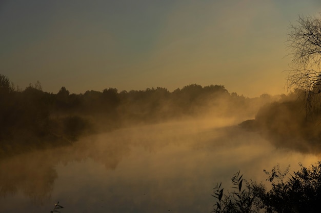 Photo foggy morning on a european river with fresh green grass in the sun. the rays of the sun through the tree.