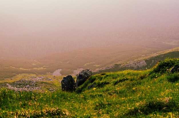 Foggy morning landscape