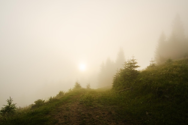 霧の朝の風景