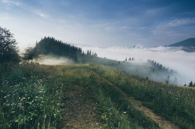 霧の朝の風景