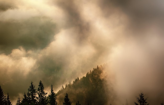 霧の朝の風景