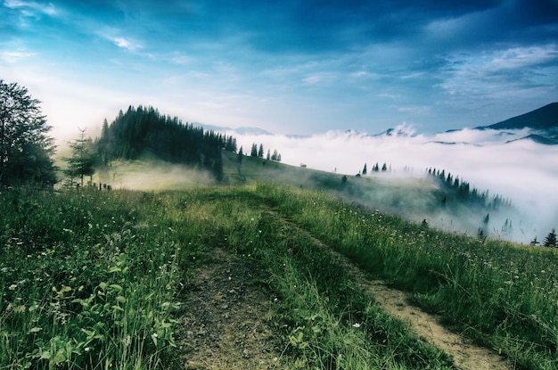 霧の朝の風景