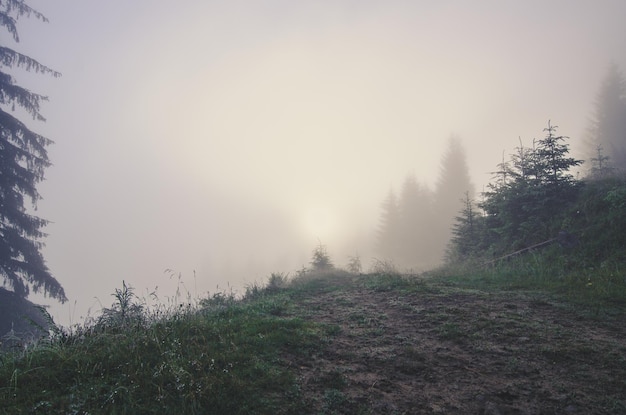 霧の朝の風景