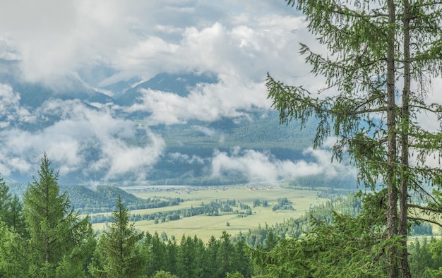 Foggy morning in the mountains cloudy weather summer