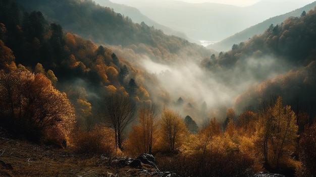 山の霧の朝