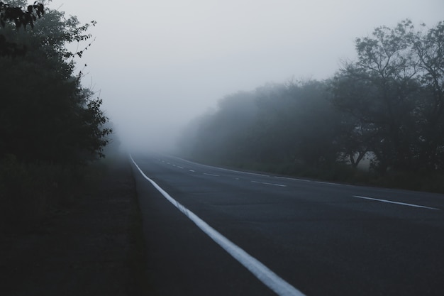 Foggy morning road. Beautiful summer morning. Travel