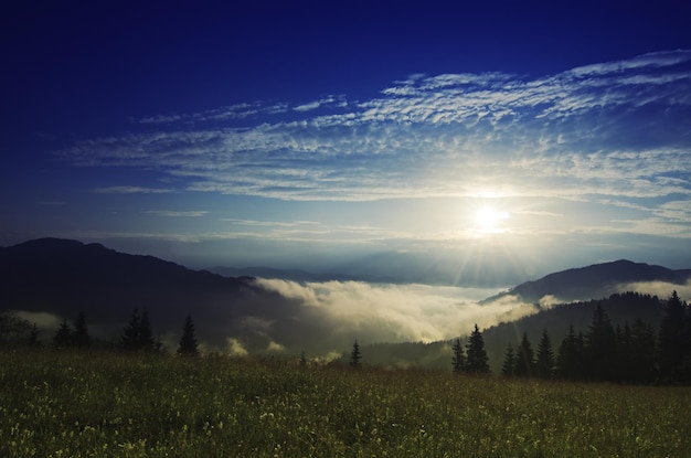 Foggy morning shiny summer landscape with mist, green meadow and sun shining