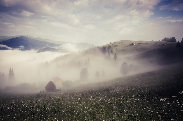 Foggy morning summer mountain landscape with mist and green meadow. Rural houses in the fog and dramatic cloudy sky. Carpathians, Ukraine