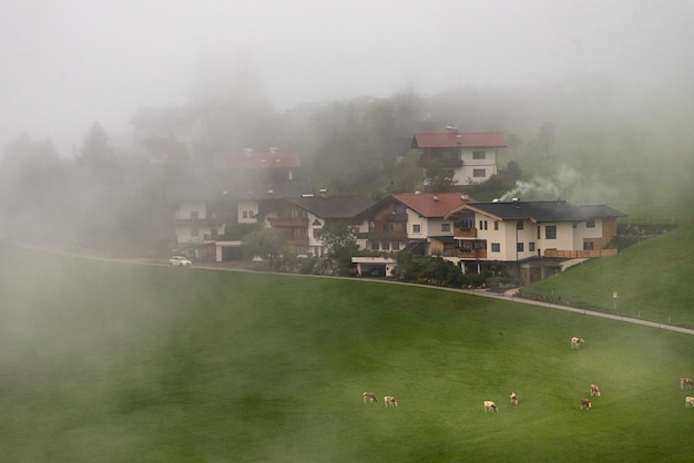 Туманный утренний вид на окраину деревни Хергисвиль, Швейцария, Европа. Живописная осенняя сцена