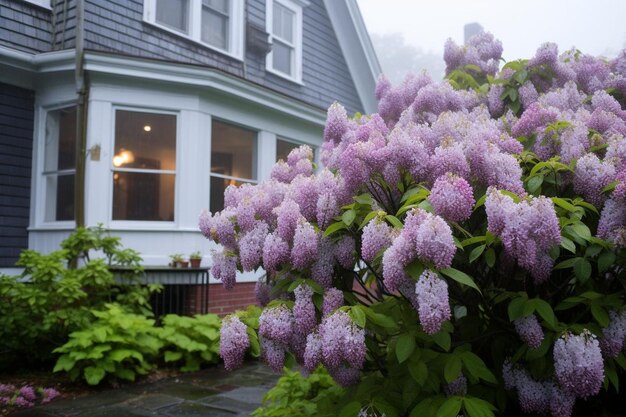 Photo foggy morning with lilacs in the foreground spring flower image photography