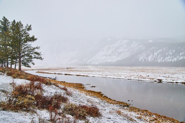 Foggy morning at yellowstone by river and snowy mountains