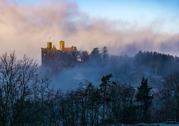 Foto mattina nebbiosa