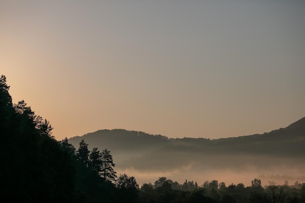 Foggy mountain landscape in British Columbia, Canada