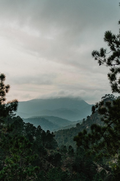 Photo foggy mountain landscape moody image