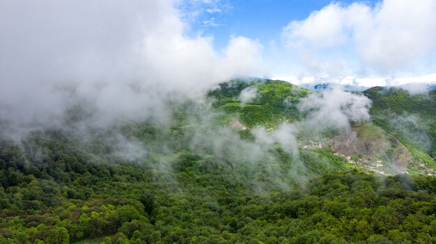 Foggy mountain landscape with green forest