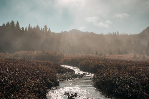 朝の秋の森を流れる霧の山と川