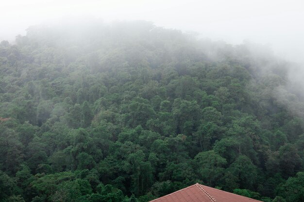 a foggy mountain with a red roof and a red roof