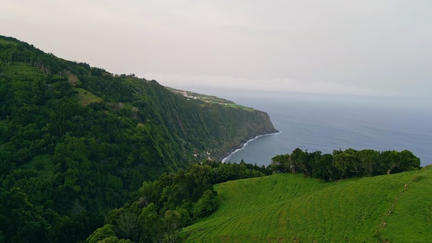 Туманный ландшафт на побережье океана, вид дрона, пышный зеленый лес на прибрежных холмах